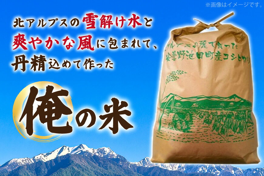 【ふるさと納税】【俺の米】 米 定期便 令和8年 コシヒカリ 精米 無洗米 玄米 10kg 〜 30kg [薄井 大地 長野県 池田町 48110952] お米 おこめ こめ こしひかり 定期 2回〜6回 コメ 新米 10キロ 20キロ 30キロ 以上 ふるさと ふるさと納税 令和8年産 先行予約