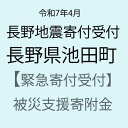 【ふるさと納税】【令和7年4月長野地震災害支援緊急寄附受付】長野県池田町災害応援寄附金(返礼品はありません)
