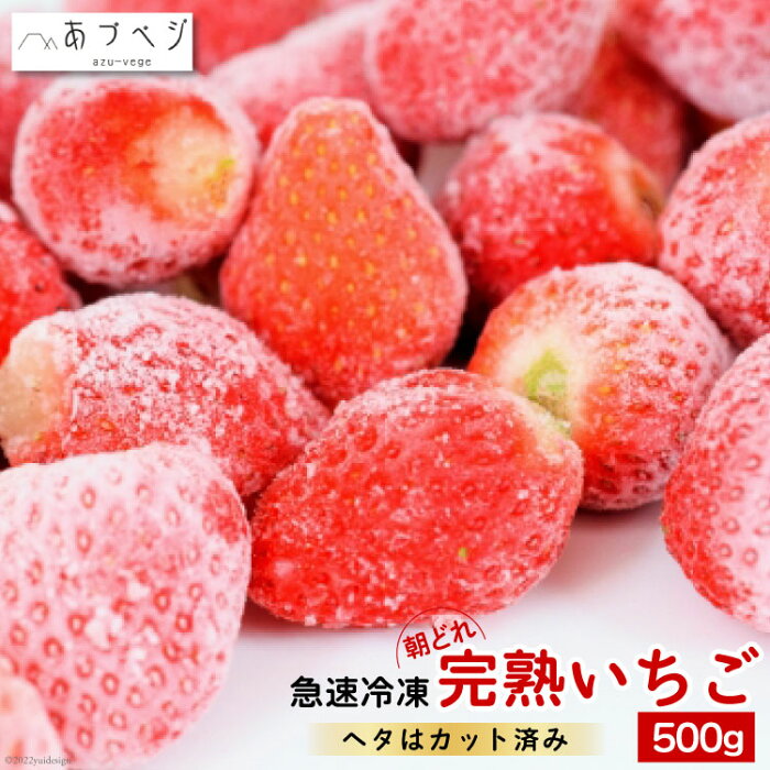 【ふるさと納税】【急速冷凍】完熟いちご500g（へたカット済み）＜安曇野ベジタブル＞【長野県池田町】