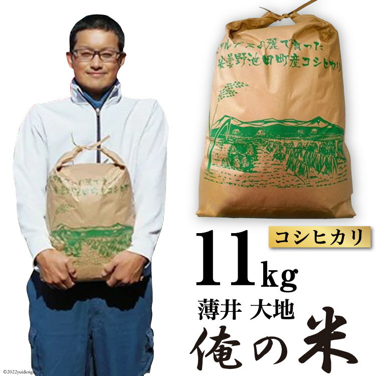 【ふるさと納税】【俺の米】米 令和5年 コシヒカリ 精米 11kg [薄井 大地 長野県 池田町 48110459] お米 白米 ごはん こしひかり 美味しい 農家 直送