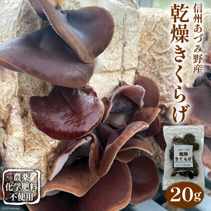 信州あづみ野産 乾燥きくらげ20g [安曇野ベジタブル 長野県 池田町 48110475]