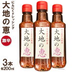 【ふるさと納税】にんにくドレッシング 「大地の恵」 激辛200ml×3本 [矢口農園 長野県 池田町 48110489]