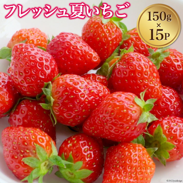 【ふるさと納税】フレッシュ 夏いちご 150g×15パック [安曇野ベジタブル 長野県 池田町 48110413]のサムネイル