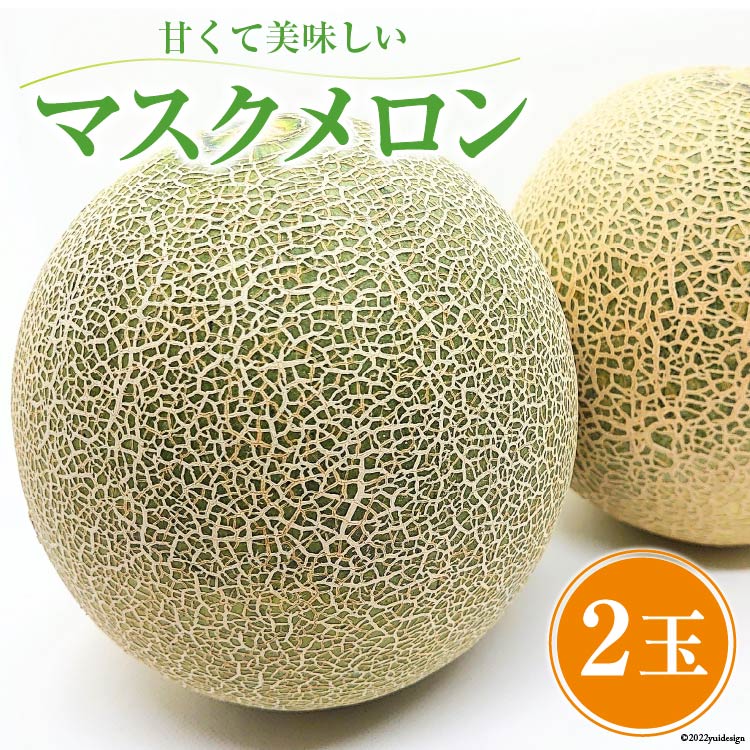 【先行受付】 マスクメロン 2玉 [安曇野ベジタブル 長野県 池田町 48110487] メロン フルーツ