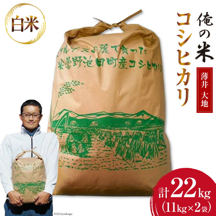 【ふるさと納税】【俺の米】米 令和5年 コシヒカリ 精米 11kg×2袋 計22kg [薄井 大地 長野県 池田町 48110321] お米 白米 ごはん こしひかり 美味しい 農家 直送