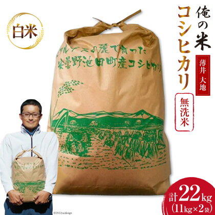 【俺の米】米 令和5年 コシヒカリ 無洗米 11kg×2袋 計22kg [薄井 大地 / 長野県 池田町 48110322] お米 精米 白米 ごはん こしひかり 美味しい 農家 直送