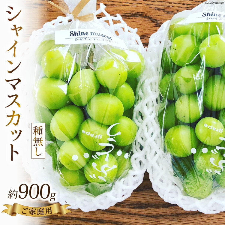 41位! 口コミ数「0件」評価「0」【 先行予約 】 シャインマスカット 約900g《ご家庭用》 [ビノテラ農園 長野県 池田町 48110427] 期間限定 ぶどう ブドウ ･･･ 