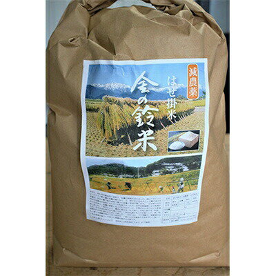 【ふるさと納税】米 コシヒカリ 金の鈴米 10kg [池田町観光協会 長野県 池田町 48110005] お米 こしひかり 美味しい 池田町産 はぜ掛け米 はぜかけ米