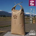 24位! 口コミ数「0件」評価「0」6回 定期便 栽培期間中農薬・化学肥料不使用 はぜ掛け 天日干し コシヒカリ 玄米 10kg×6回 総計60kg / まるごし農園 / 長野･･･ 