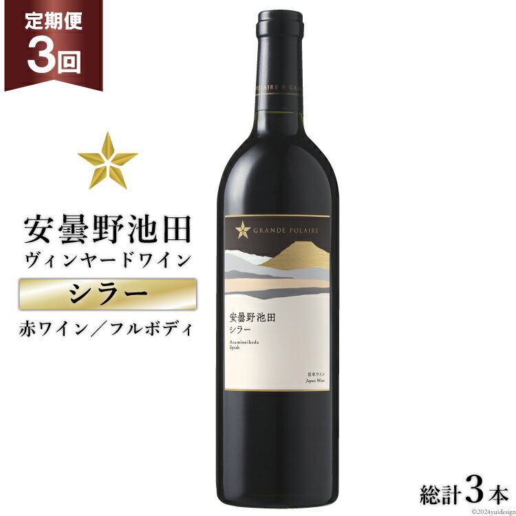 17位! 口コミ数「0件」評価「0」3回 定期便 赤ワイン サッポロ グランポレール 安曇野池田ヴィンヤード「シラー」750ml 総計3本 [池田町ハーブセンター 長野県 池田･･･ 