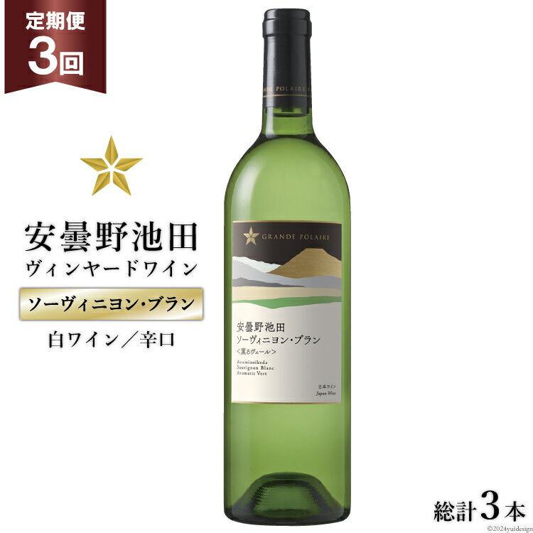 3位! 口コミ数「0件」評価「0」3回 定期便 白ワイン サッポロ グランポレール 安曇野池田ヴィンヤード「ソーヴィニヨン・ブラン」750ml 総計3本 [池田町ハーブセンタ･･･ 