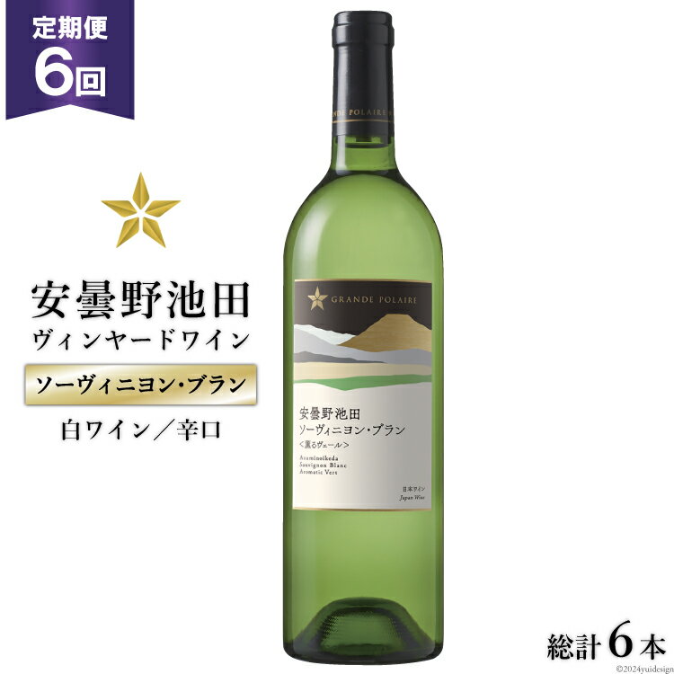 ワイン人気ランク20位　口コミ数「0件」評価「0」「【ふるさと納税】6回 定期便 白ワイン サッポロ グランポレール 安曇野池田ヴィンヤード「ソーヴィニヨン・ブラン」750ml 総計6本 [池田町ハーブセンター 長野県 池田町 48110616] 白 ワイン 辛口 お酒 酒」