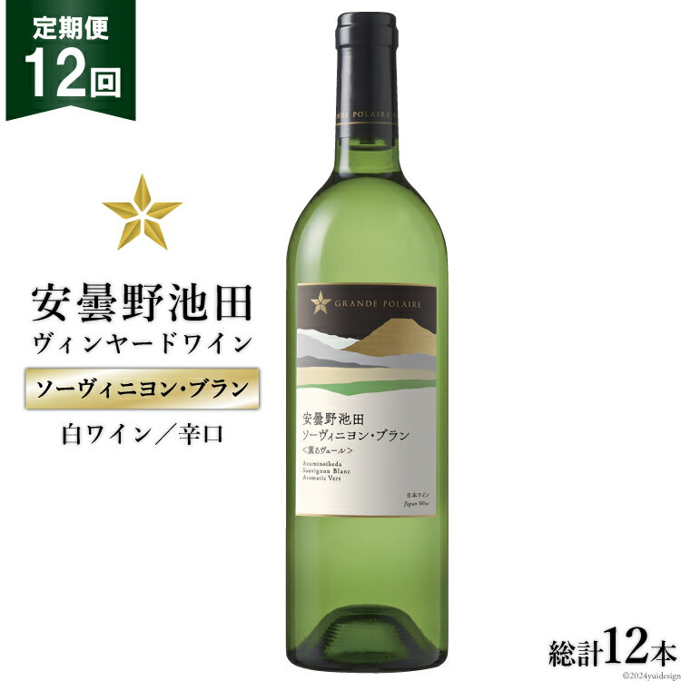 7位! 口コミ数「0件」評価「0」12回 定期便 白ワイン サッポロ グランポレール 安曇野池田ヴィンヤード「ソーヴィニヨン・ブラン」750ml 総計12本 [池田町ハーブセ･･･ 