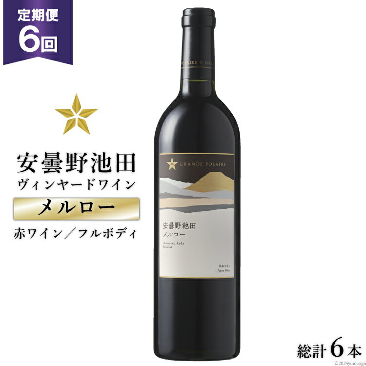 26位! 口コミ数「0件」評価「0」6回 定期便 赤ワイン サッポロ グランポレール 安曇野池田ヴィンヤード「メルロー」750ml 総計6本 [池田町ハーブセンター 長野県 池･･･ 