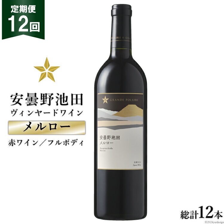 22位! 口コミ数「0件」評価「0」12回 定期便 赤ワイン サッポロ グランポレール 安曇野池田ヴィンヤード「メルロー」750ml 総計12本 [池田町ハーブセンター 長野県･･･ 