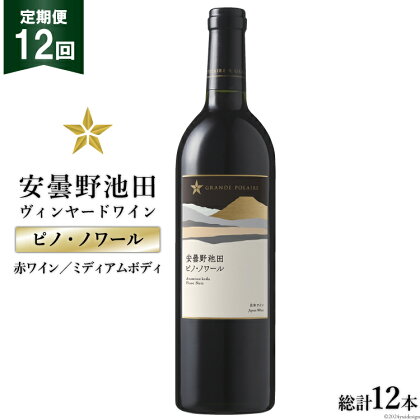 12回 定期便 赤ワイン サッポロ グランポレール 安曇野池田ヴィンヤード「ピノ・ノワール」750ml 総計12本 [池田町ハーブセンター 長野県 池田町 48110623] 赤 ワイン ミディアムボディ お酒 酒