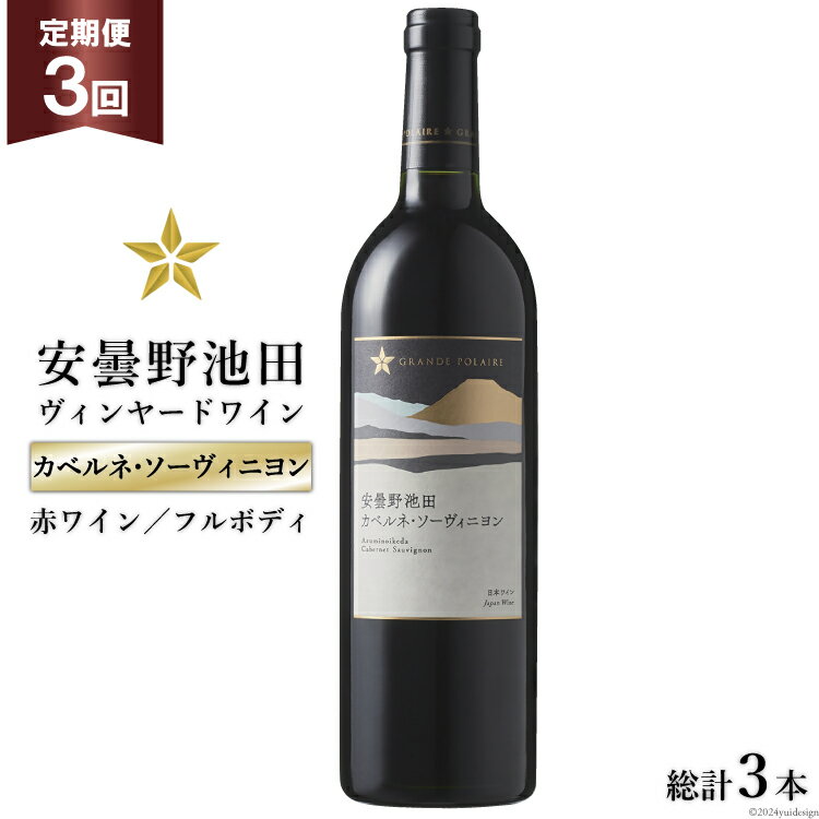 9位! 口コミ数「0件」評価「0」3回 定期便 赤ワイン サッポロ グランポレール 安曇野池田ヴィンヤード「カベルネ・ソーヴィニヨン」750ml 総計3本 [池田町ハーブセン･･･ 