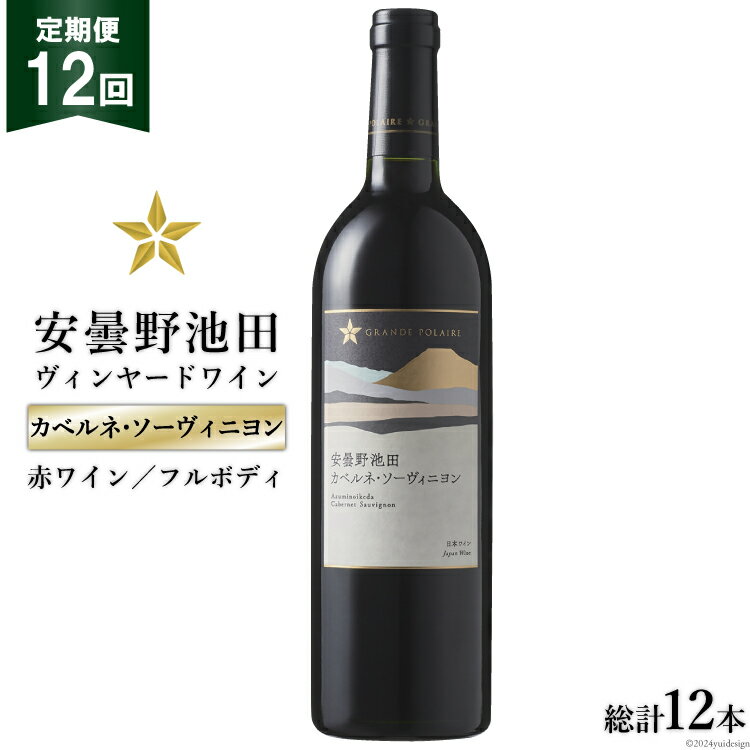 11位! 口コミ数「0件」評価「0」12回 定期便 赤ワイン サッポロ グランポレール 安曇野池田ヴィンヤード「カベルネ・ソーヴィニヨン」750ml 総計12本 [池田町ハーブ･･･ 