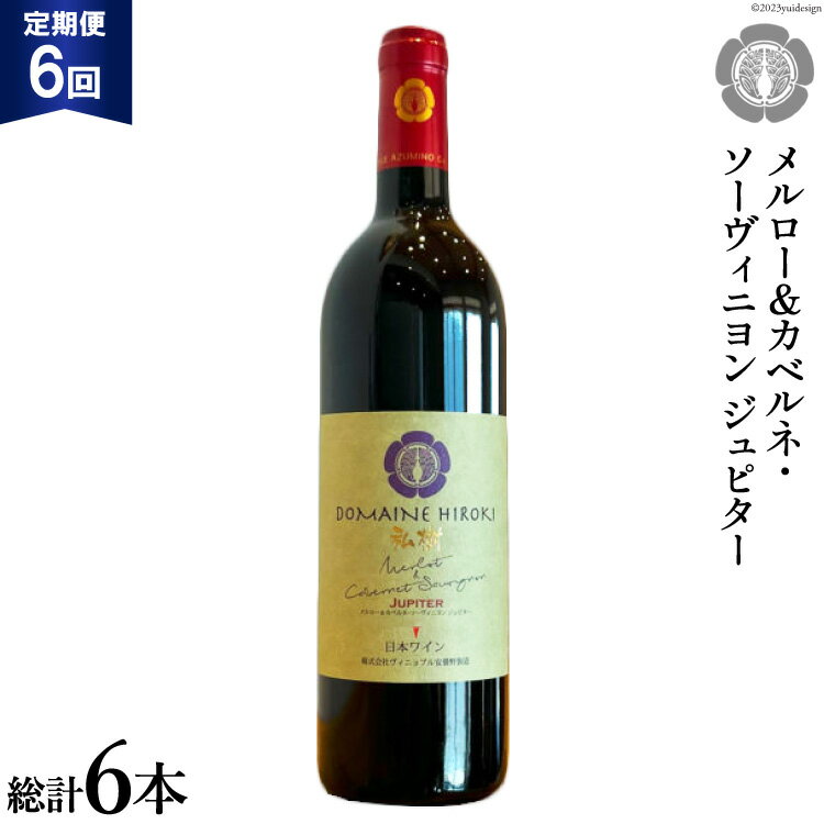 56位! 口コミ数「0件」評価「0」6回 定期便 ワイン メルロー＆カベルネ・ソーヴィニョン ジュピター750ml×1本 計6本 [ヴィニョブル安曇野(ドメーヌ・ヒロキ) 長野･･･ 