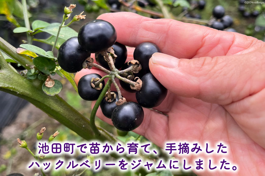 【ふるさと納税】アルプスハックルベリージャム 190g 1個 [花とハーブの里 ガーデンハックルベリー生産者の会 長野県 池田町 48110642] ベリー 果物 フルーツ プレザーブ ジャム ガーデンハックルベリー