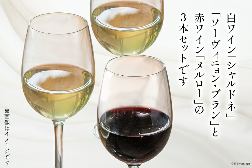 【ふるさと納税】 白 赤 ワイン 3本 セット ジョイア シャルドネ ソーヴィニヨン・ブラン メルロー 各 750ml [Poggio Verde（ポッジョ ヴェルデ） 長野県 池田町 48110663] 白ワイン 赤ワイン ワインセット わいん 国産ぶどう使用 お酒 酒 アルコール