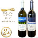 【ふるさと納税】白 赤 ワイン 2本 セット フェリーチェ ビアンコ ロッソ 各 750ml [Poggio Verde(ポッジョ ヴェルデ) 長野県 池田町 ...