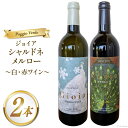 【ふるさと納税】白 赤 ワイン 2本 セット ジョイア シャルドネ メルロー 各 750ml [Poggio Verde(ポッジョ ヴェルデ) 長野県 池田町 ...