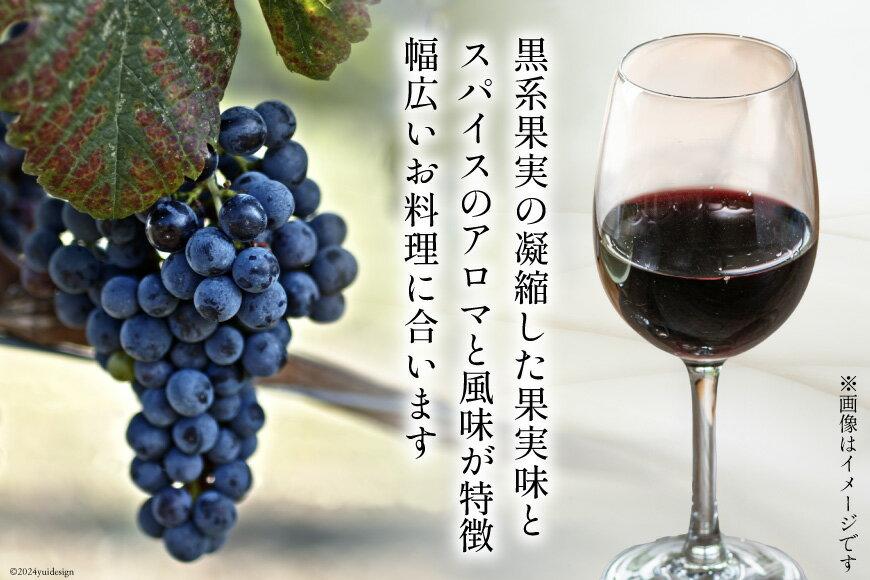 【ふるさと納税】 赤 ワイン フェリーチェ ロッソ 750ml 4本 [Poggio Verde（ポッジョ ヴェルデ） 長野県 池田町 48110681] 赤ワイン わいん 国産ぶどう使用 お酒 酒 アルコール