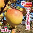 【ふるさと納税】*【2025年先行予約】ヤマモ農園 訳あり ぐんま名月 約5kg | 果物 フルーツ りんご リンゴ 林檎 ぐんま名月 長野県 松川村 信州