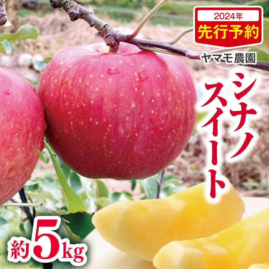 2024年先行予約 シナノスイート 約 5kg | 果物 フルーツ 果実 りんご 林檎 リンゴ シナノスイート 長野県 松川村 信州