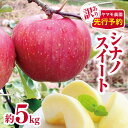 11位! 口コミ数「1件」評価「5」*【2025年先行予約】ヤマモ農園 訳あり シナノスイート 約5kg | 果物 フルーツ 果実 りんご 林檎 リンゴ シナノスイート 長野県 松川村 信州