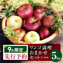 【ふるさと納税】【 2025年 9月限定 先行予約 】 ヤマモ農園 訳あり リンゴ満喫おまかせ セット 約5kg | 果物 フルーツ 果実 りんご 林檎 リンゴ...