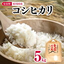 18位! 口コミ数「0件」評価「0」安曇野 松川村産 コシヒカリ 5kg | 米 白米 精米 コシヒカリ こしひかり お米 おこめ 長野県 松川村