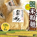 1位! 口コミ数「0件」評価「0」グルテンフリー 自然栽培 の 米粉 麺（ 玄米 麺 ）120g×8食 ｜ 麺 めん 米粉 米粉麺 米粉めん グルテンフリー お米のめん 半生･･･ 