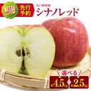 【ふるさと納税】*2024年先行予約 外川果樹園 訳あり シナノレッド 約 4.5kg 約 2.5kg| リンゴ りんご 林檎 果物 フルーツ 果実 果汁 紅玉...