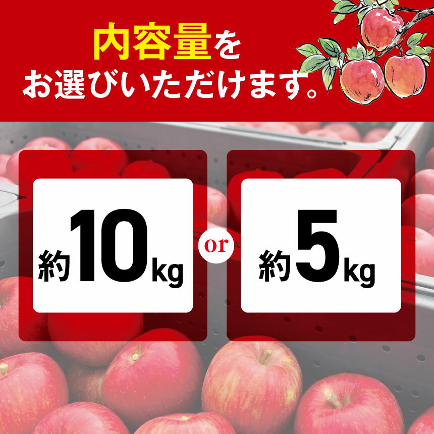【ふるさと納税】2024年先行予約 外川果樹園 訳あり 安曇野松川村の 陽光 約 10kg 約 5kg 果物 フルーツ 林檎 りんご リンゴ 長野県 松川村