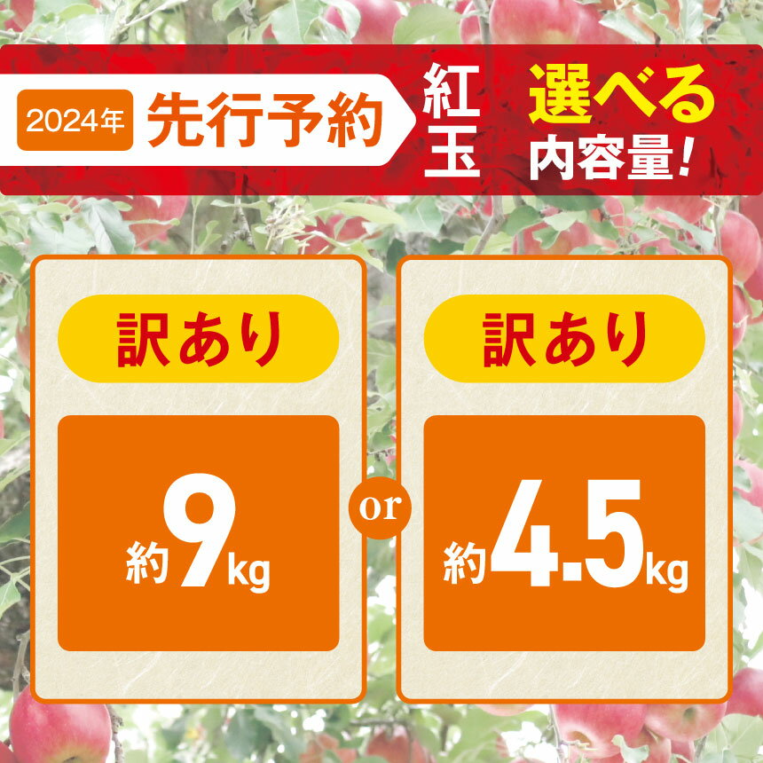 【ふるさと納税】2024年先行予約 外川果樹園 訳あり 紅玉 約9kg 約4.5kg 果物 林檎 りんご リンゴ フルーツ 長野県 松川村