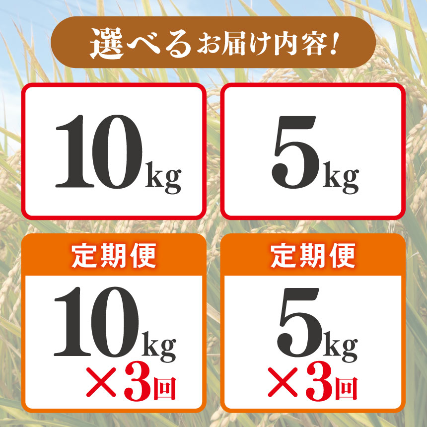 【ふるさと納税】 安曇野 松川村産 コシヒカリ 約 5kg ・ 10kg 各 1回 3回 | 米 お米 コメ こめ 精米 白米 はくまい コシヒカリ こしひかり 定期便 定期 長野県 松川村