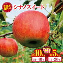 【ふるさと納税】 *【2025年先行予約】やまし平林農園 訳あり シナノスイート 約5kg / 約10kg | リンゴ りんご 林檎 果物 フルーツ 果実 果汁...