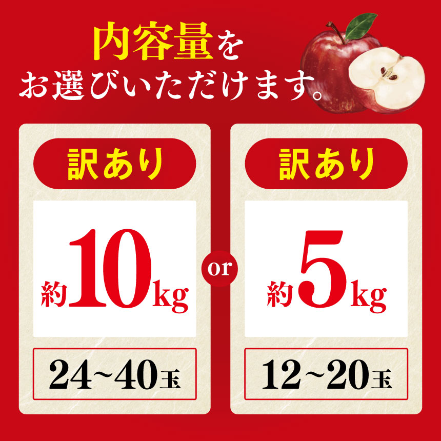 【ふるさと納税】 2024年産 訳あり シナノスイート 約 5kg 12 ～ 20 玉 / 約 10kg 24 ～ 40玉 （果物類 林檎 りんご リンゴ ご家庭用 長野県 松川村 まつかわ 長野）