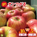 【ふるさと納税】*【2025年先行予約】やまし平林農園 訳あり サンつがる 約5kg / 約10kg | リンゴ りんご 林檎 果物 フルーツ 果実 果汁 サンつがる さんつがる 家庭用 わけあり 訳アリ 長野県 松川村 信州(4)