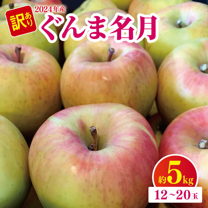 【ふるさと納税】 2024年度産 訳あり ぐんま名月 約 5