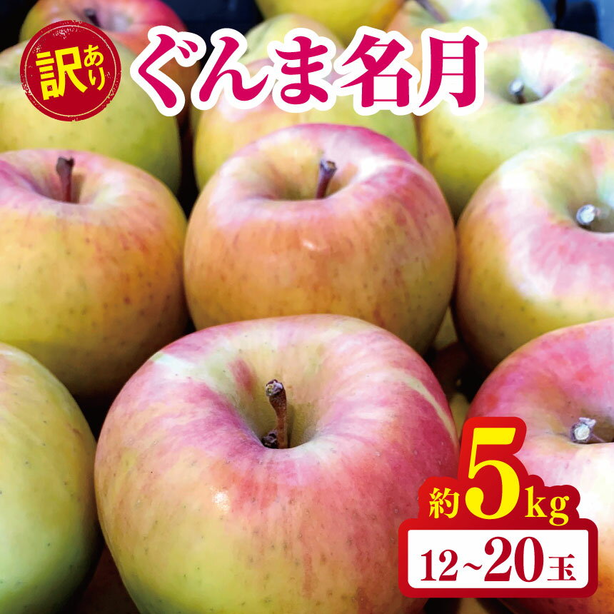 訳あり ぐんま名月 約5kg | やまし平林農園 リンゴ りんご 林檎 果物 フルーツ 果実 果汁 ぐんま名月 ぐんまめいげつ 家庭用 わけあり 訳アリ 長野県 松川村 信州