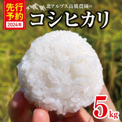 北アルプス 高橋農園のコシヒカリ 5kg ｜ 米 お米 こめ コシヒカリ こしひかり 白米 精米 長野県 松川村 無農薬 地域おこし 北アルプス