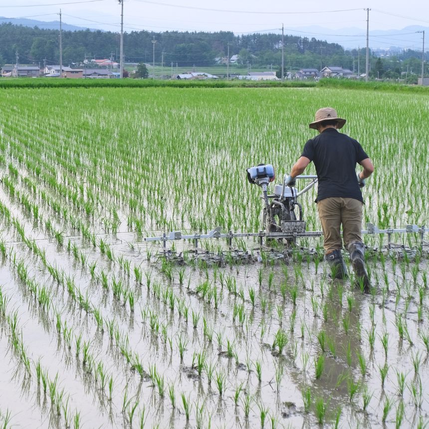 長野県松川村の画像3