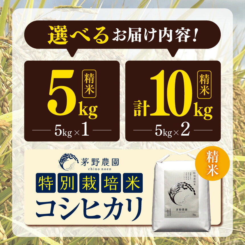 長野県松川村の画像2