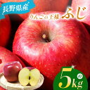 【ふるさと納税】 *ふじ 5kg 【2025年先行予約】 | マルヒラ農園 リンゴ りんご 林檎 果物 フルーツ 果実 果汁 ふじ 長野県 松川村 信州