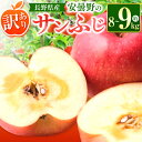 【ふるさと納税】*【2025年先行予約】東印平林農園 訳あり サンふじ 約8〜9kg | リンゴ りんご 林檎 果物 フルーツ 果実 果汁 サンふじ さんふじ ...