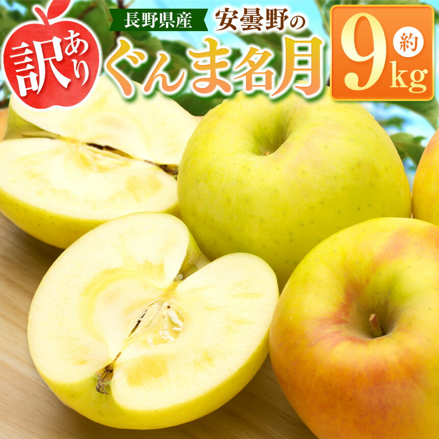 [2024年 令和6年度発送 先行予約] 訳あり 安曇野の ぐんま名月 約9kg | リンゴ りんご 林檎 果物 フルーツ 果実 果汁 ぐんま名月 ぐんまめいげつ 家庭用 わけあり 訳アリ 長野県 松川村