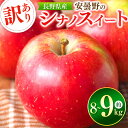 【ふるさと納税】*【2025年先行予約】東印平林農園 訳あり シナノスイート 約8〜9kg | リンゴ りんご 林檎 果物 フルーツ 果実 果汁 シナノスイート...